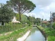 Quando e come annaffiare? Te lo dice il portale Irriframe 