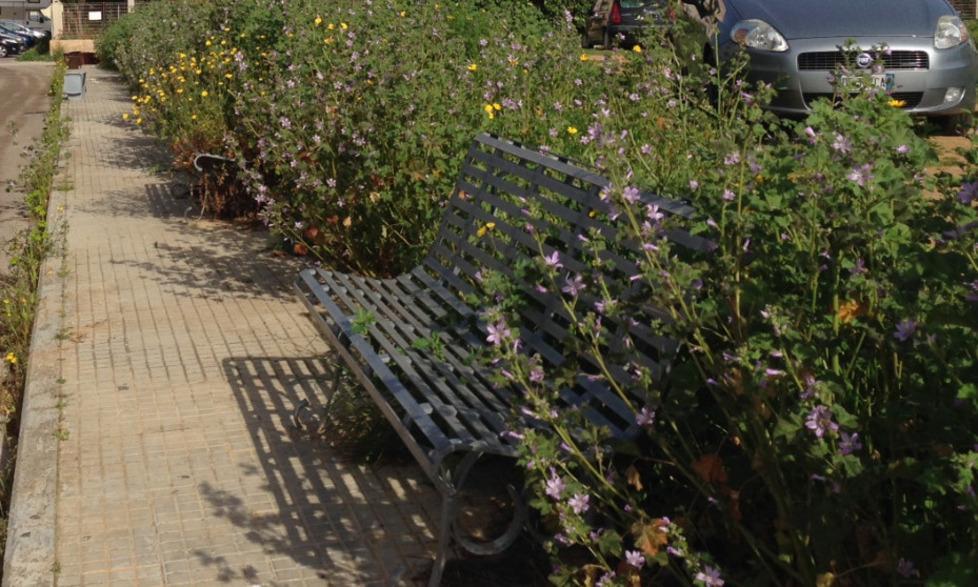 Una panchina circondata di erbacce