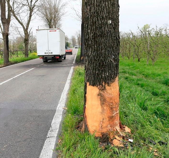 Schianto contro albero, muore sul colpo 