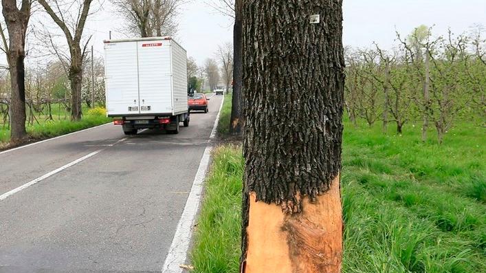 Schianto contro albero, muore sul colpo
