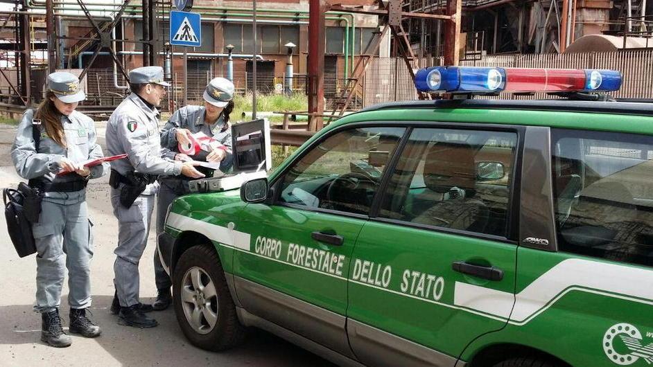La Forestale in Aferpi «Smaltimento irregolare di rifiuti industriali»