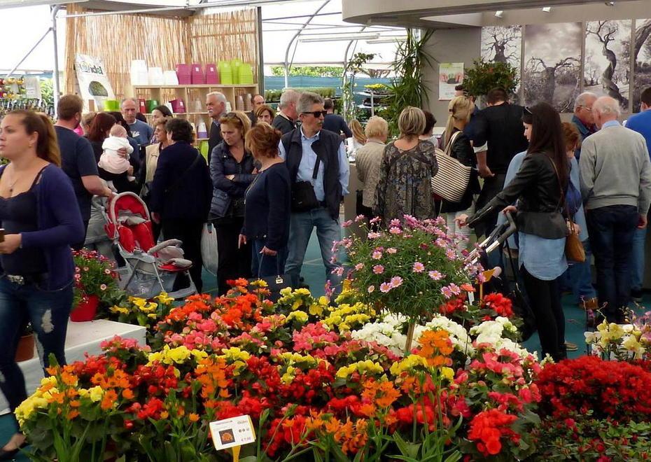 La festa dell’azalea porta la primavera lungo l’Aurelia 