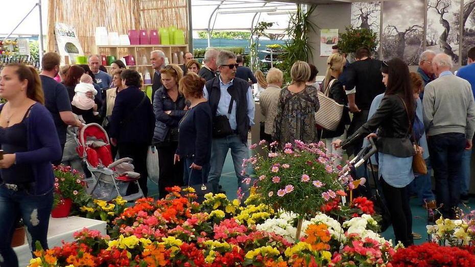 La festa dell’azalea porta la primavera lungo l’Aurelia