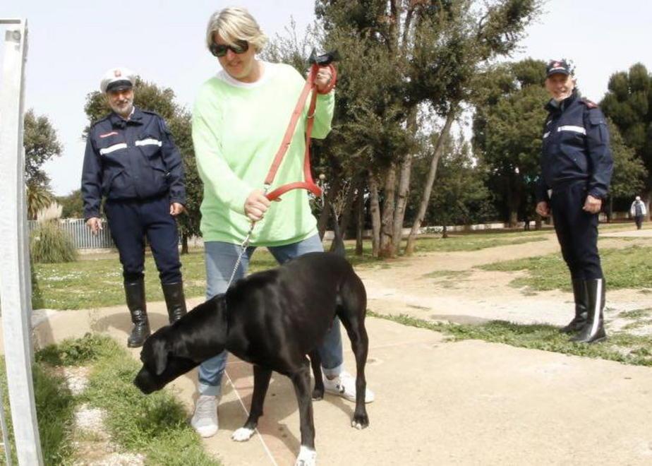 Cani sciolti, cento multe in un anno 