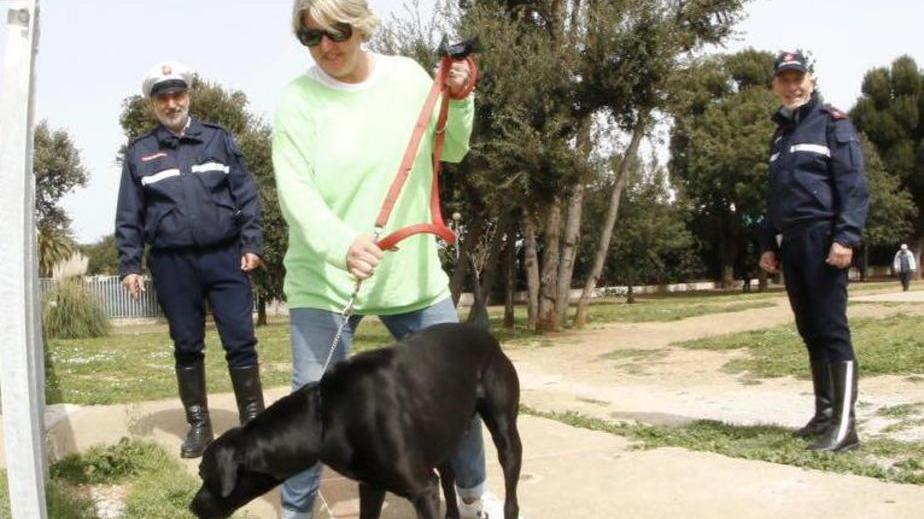 Cani sciolti, cento multe in un anno
