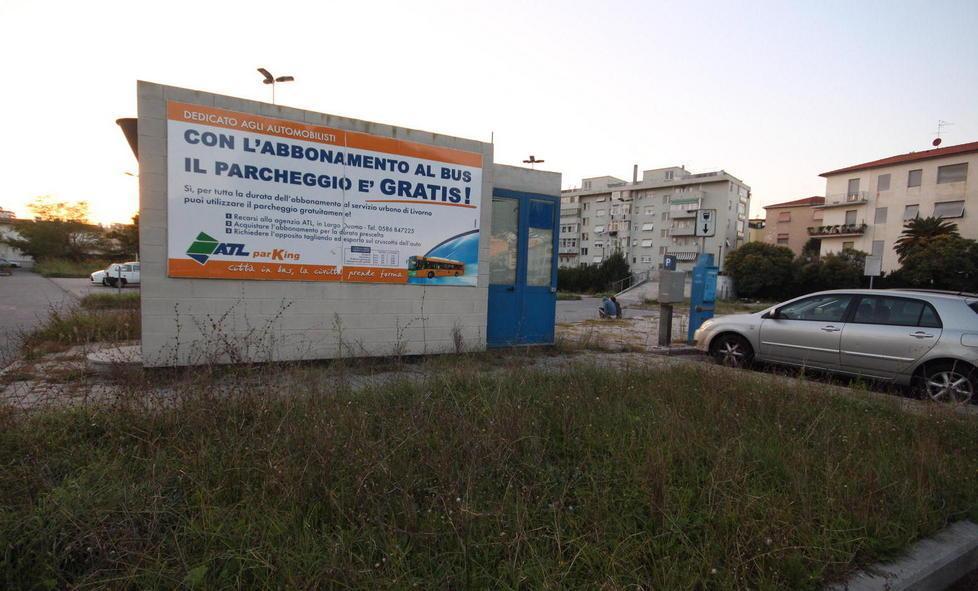 «Non puoi portare quel cane sul bus» Giovane picchiato 