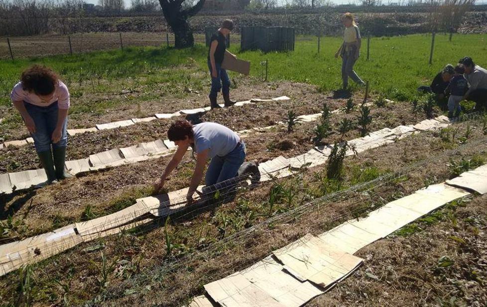 Campi di volontariato: ecco le offerte 