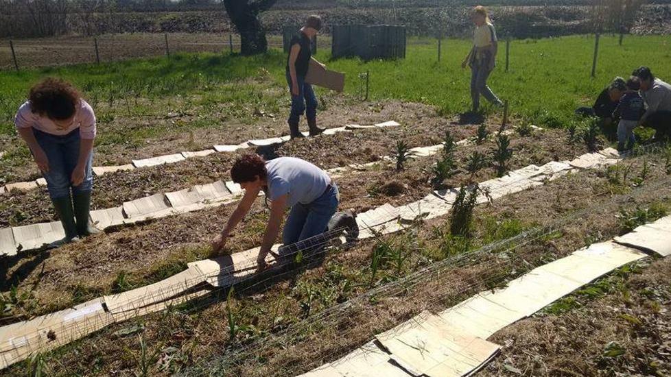 Campi di volontariato: ecco le offerte
