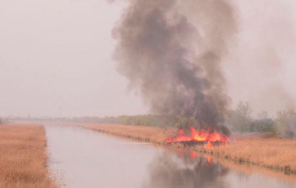 Incendio di sterpaglie lungo il Cavo