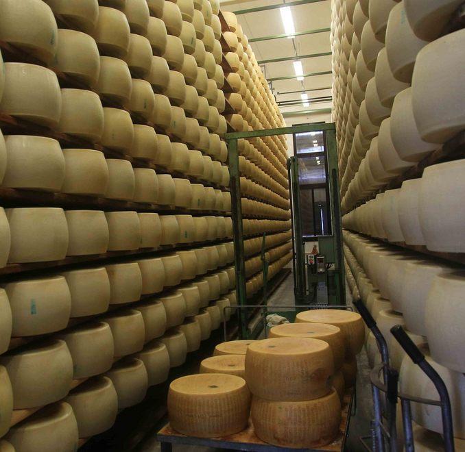 Parmigiano, il prodotto più rubato 