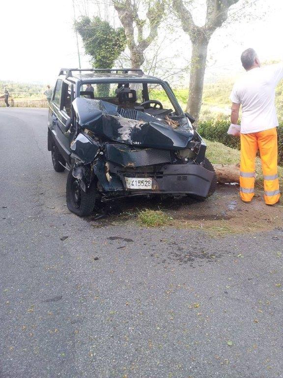 La Fiat Panda finita contro un albero a Motnecatini Alto