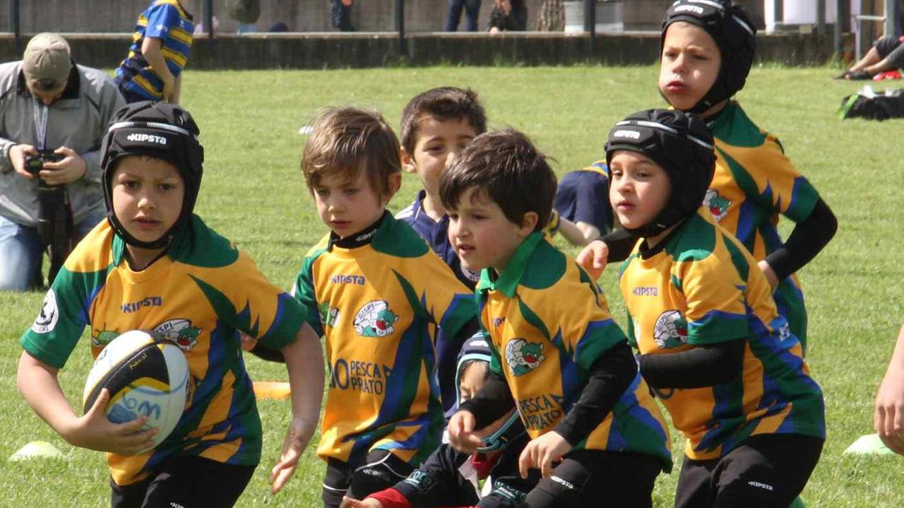Piccoli rugbisti in azione in una gara del Trofeo Denti 2015 (foto Batavia)