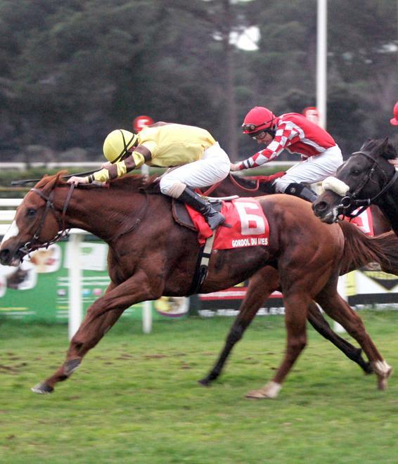 S. Rossore, Il Predatore tenta la tripletta 