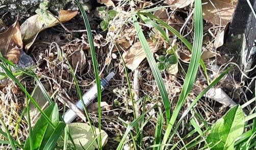 Siringhe nel cortile della scuola, allarme in via Mascagni