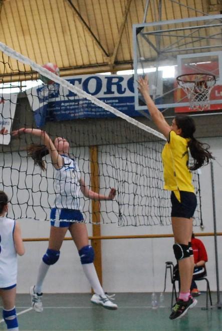 Minivolley, domenica 17 società si affrontano nelle fasi finali