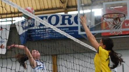 Minivolley, domenica 17 società si affrontano nelle fasi finali