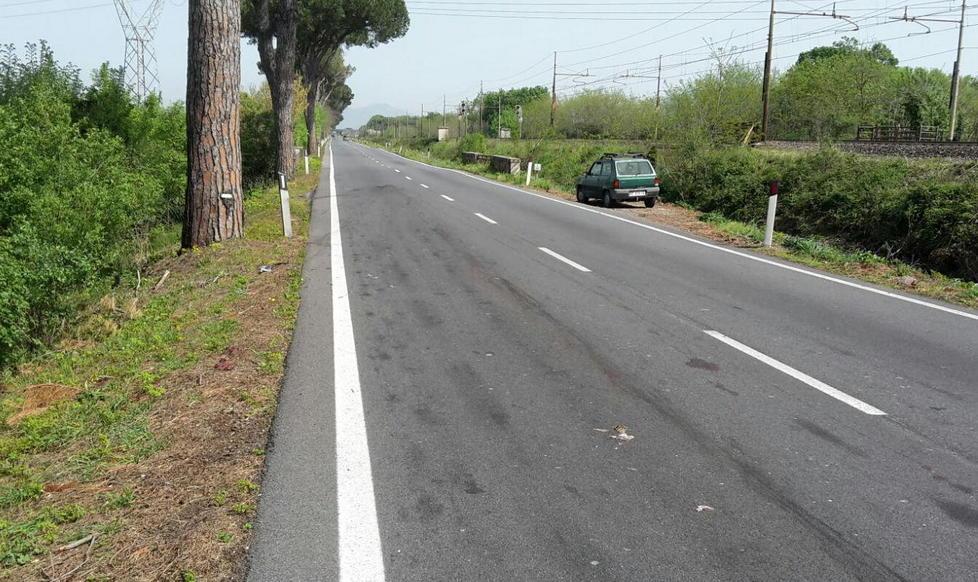Si scontra con un cinghiale sull’Aurelia 