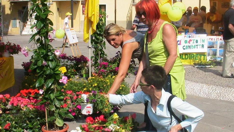Il centro storico come un giardino Torna “Massa in fiore”