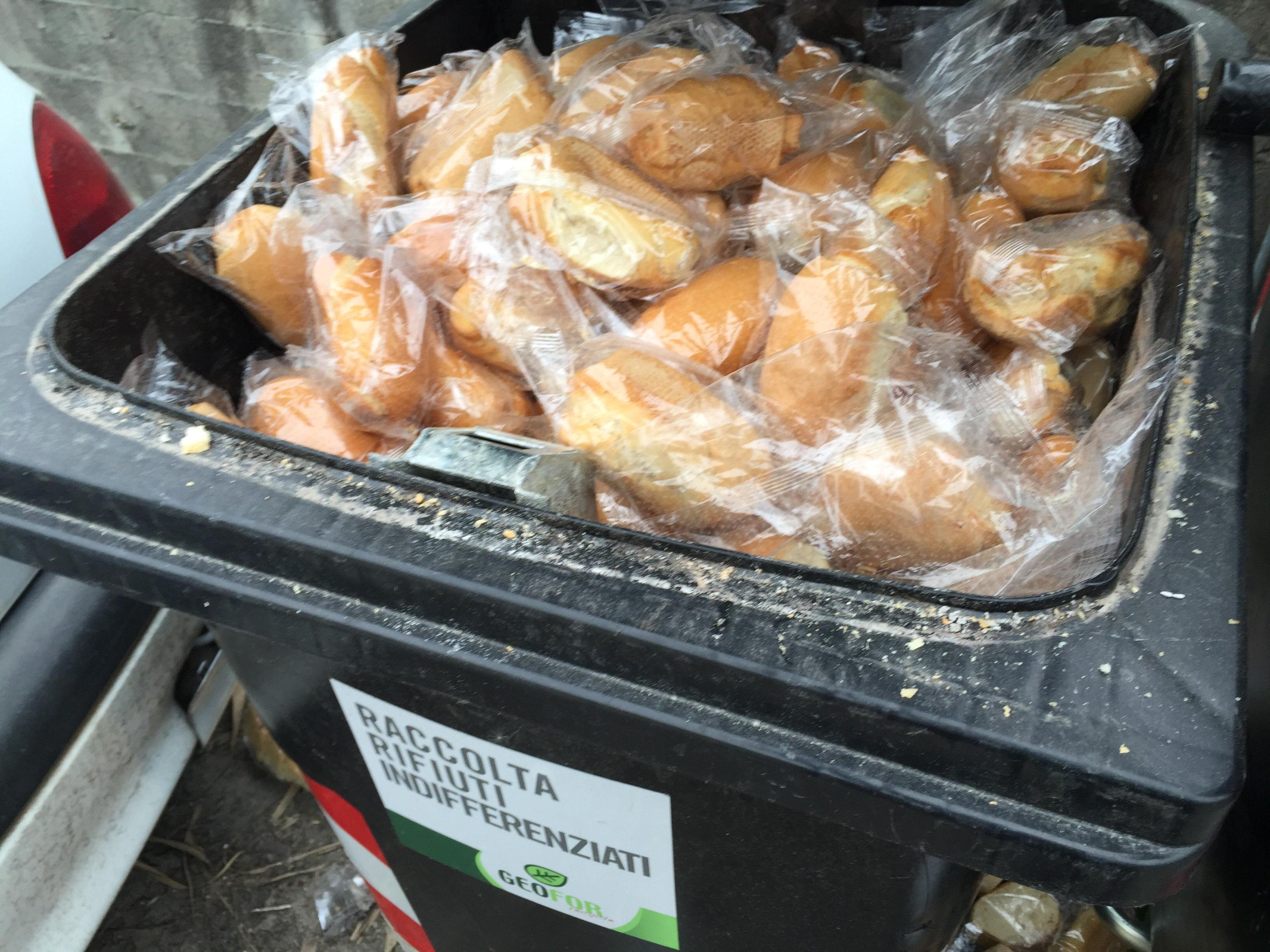 Il pane gettato nel cassonetto dei rifiuti organici a Perignano (foto Franco Silvi)