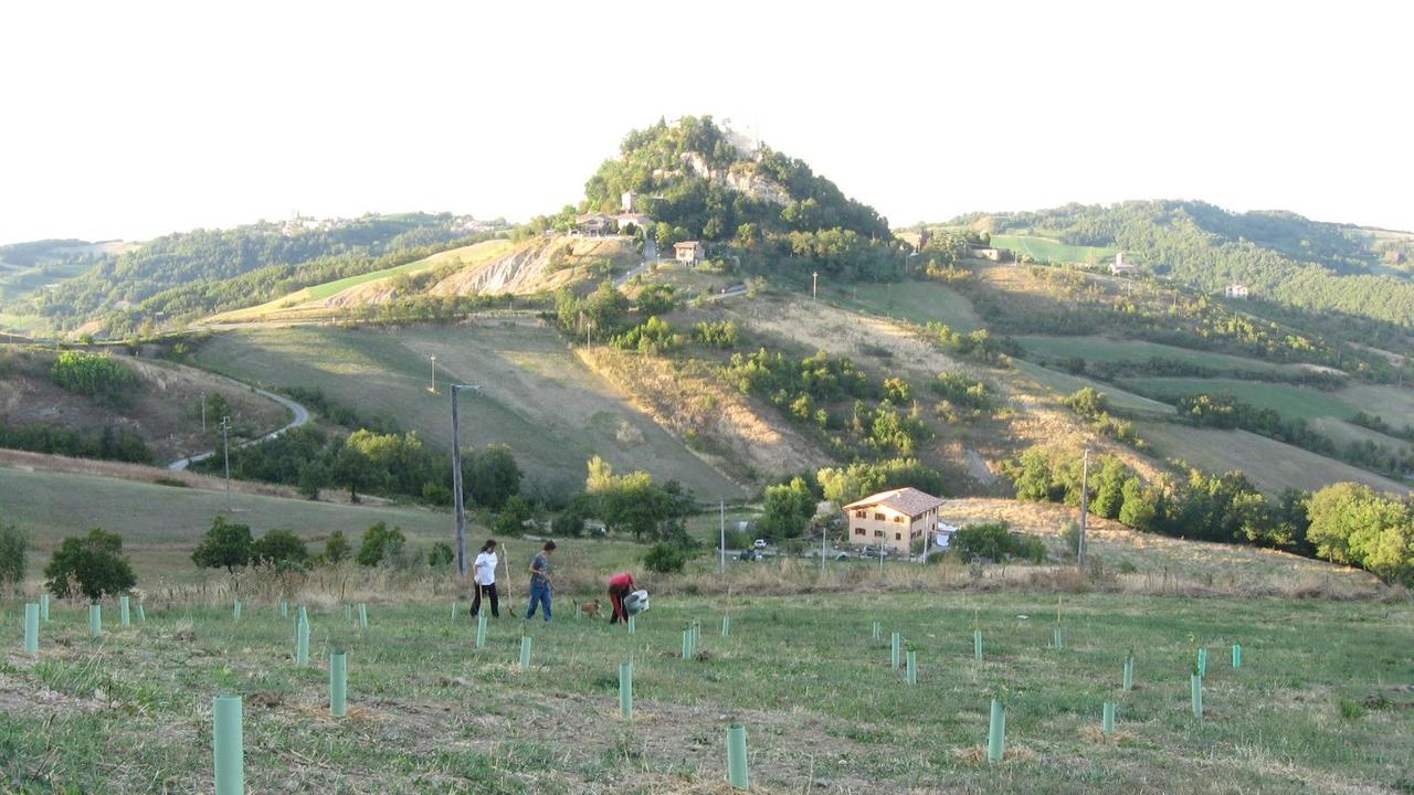 Nasce un bosco al posto dell’ecomostro