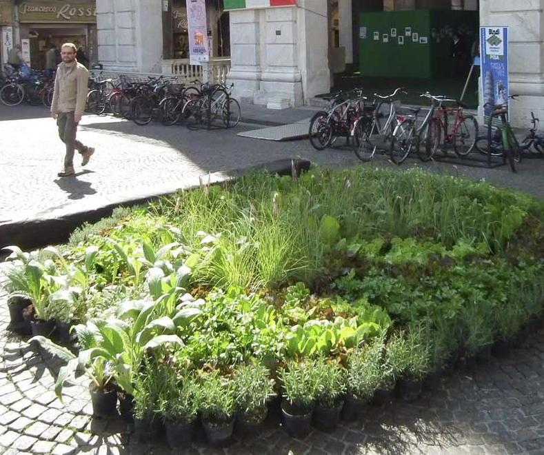 Il centro di Pisa si trasforma in un giardino 