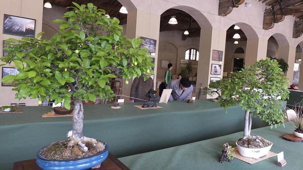 In programma anche laboratori e visite all’Orto botanico