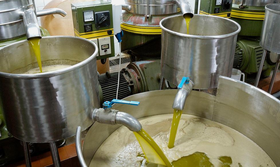 Un convegno sull’olio e i suoi benefici