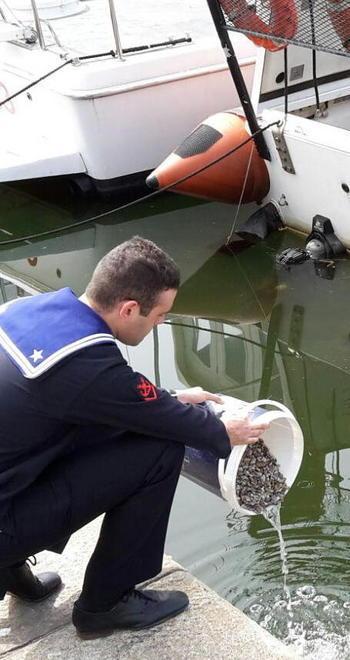 Maxi multa al pescatore sportivo che vendeva telline 