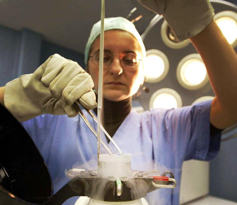 Ovociti irregolari bloccati in una clinica di Chianciano 