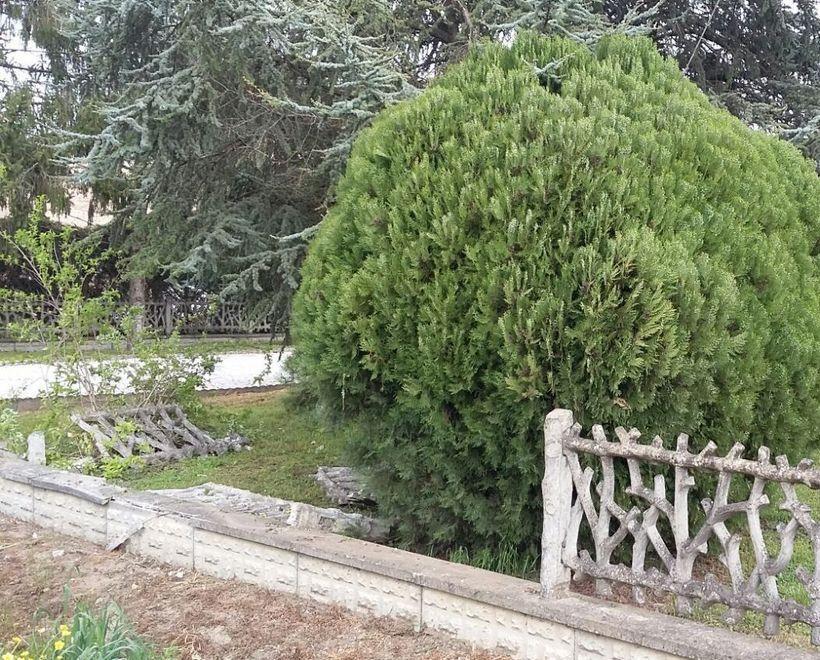 Senza assicurazione, schianto col muretto