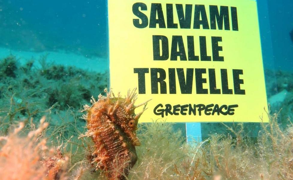Greenpeace sceglie il cavalluccio 