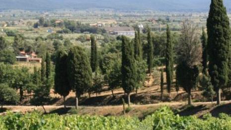 Al Vinitaly di Verona numerose aziende dalla Val di Cornia
