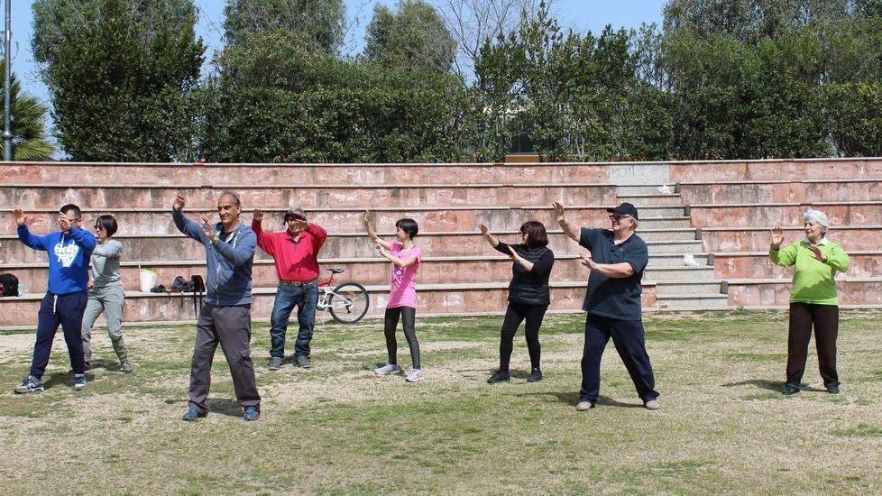 Stage gratuiti di Armonia Dinamica