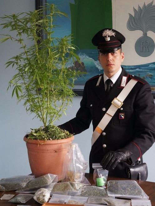 Piante e marijuana in casa Finisce nei guai un 45enne