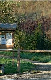 Le Salse di Nirano franano ancora 