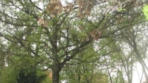 La “Tassissima” muove gli anziani