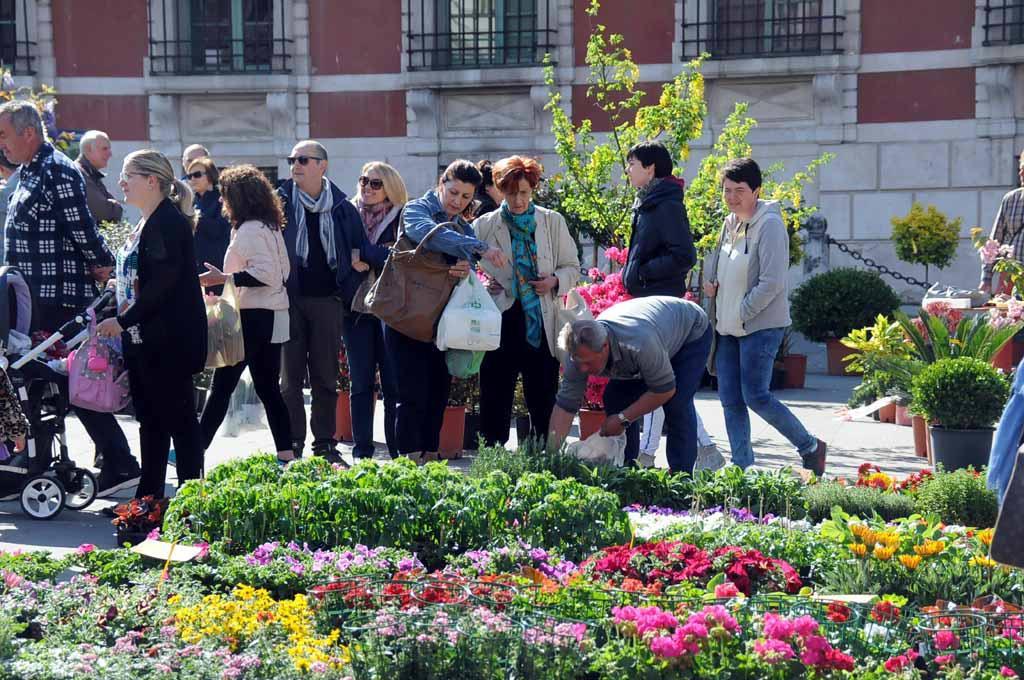 Piazza Aranci piena di gente e di fiori