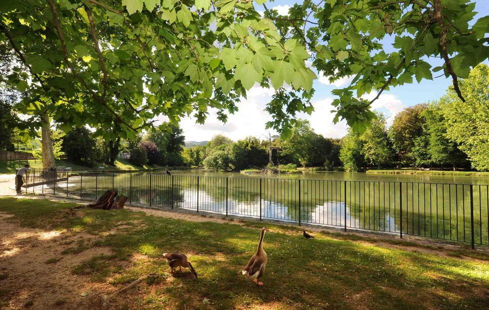 Muore a 66 anni nel parco mentre fa una passeggiata