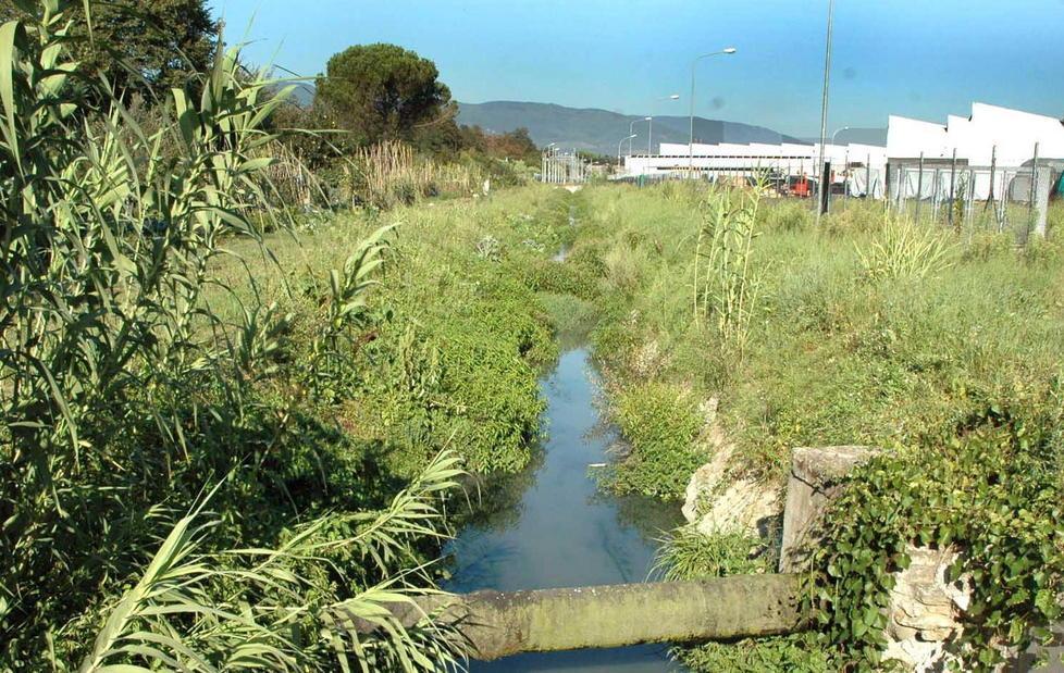 Brusigliano, via ai lavori sulle sponde 