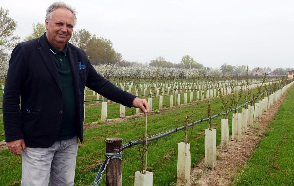 «Da Formigine super amarena che rivoluzionerà il mercato» 