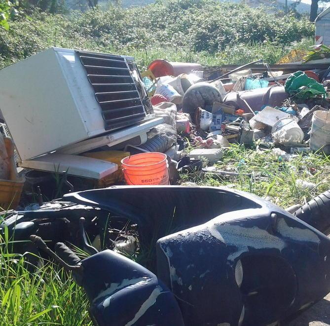 Frigo e sfalci nella “strada della discarica”