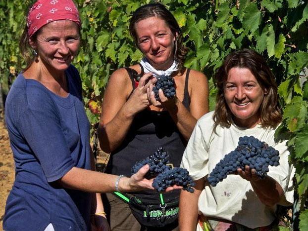 Agroalimentare, 19 milioni dalla Regione 