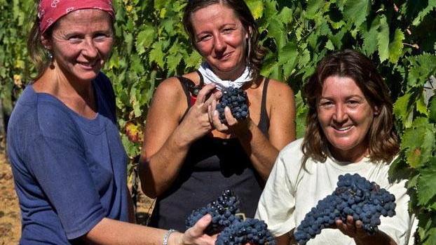 Agroalimentare, 19 milioni dalla Regione