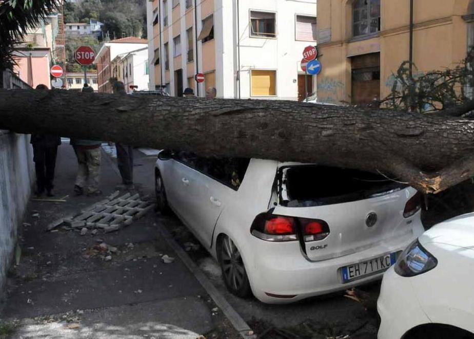 Massa, danni per la bufera di vento: nessun risarcimento 