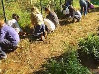 Agriyoga e cucina bio: torna Viva la terra! 