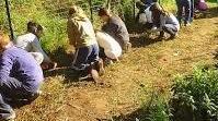 Agriyoga e cucina bio: torna Viva la terra!