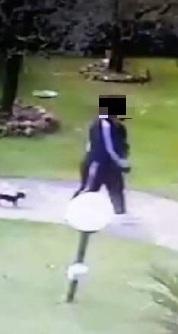 «La donna del video ci ha portato via il nostro chihuahua» 