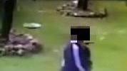 «La donna del video ci ha portato via il nostro chihuahua»