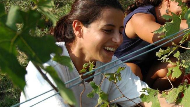 I giovani imprenditori agricoli vanno a lezione di credito
