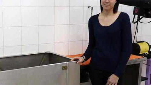 Porta scassinata: ladri in azione nel negozio per cani
